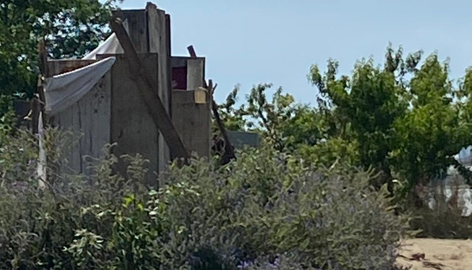 PHOTO-2025-05-30-19-33-06 2